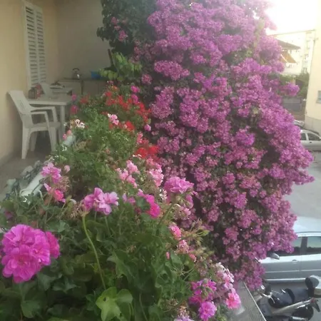 Mirjana Guest house